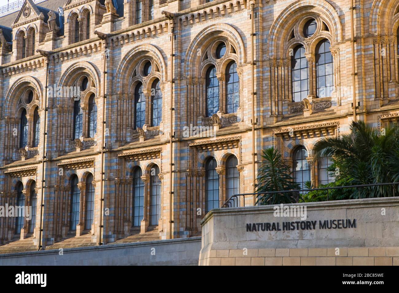 Museo de Historia Natural de Londres, Reino Unido Foto de stock