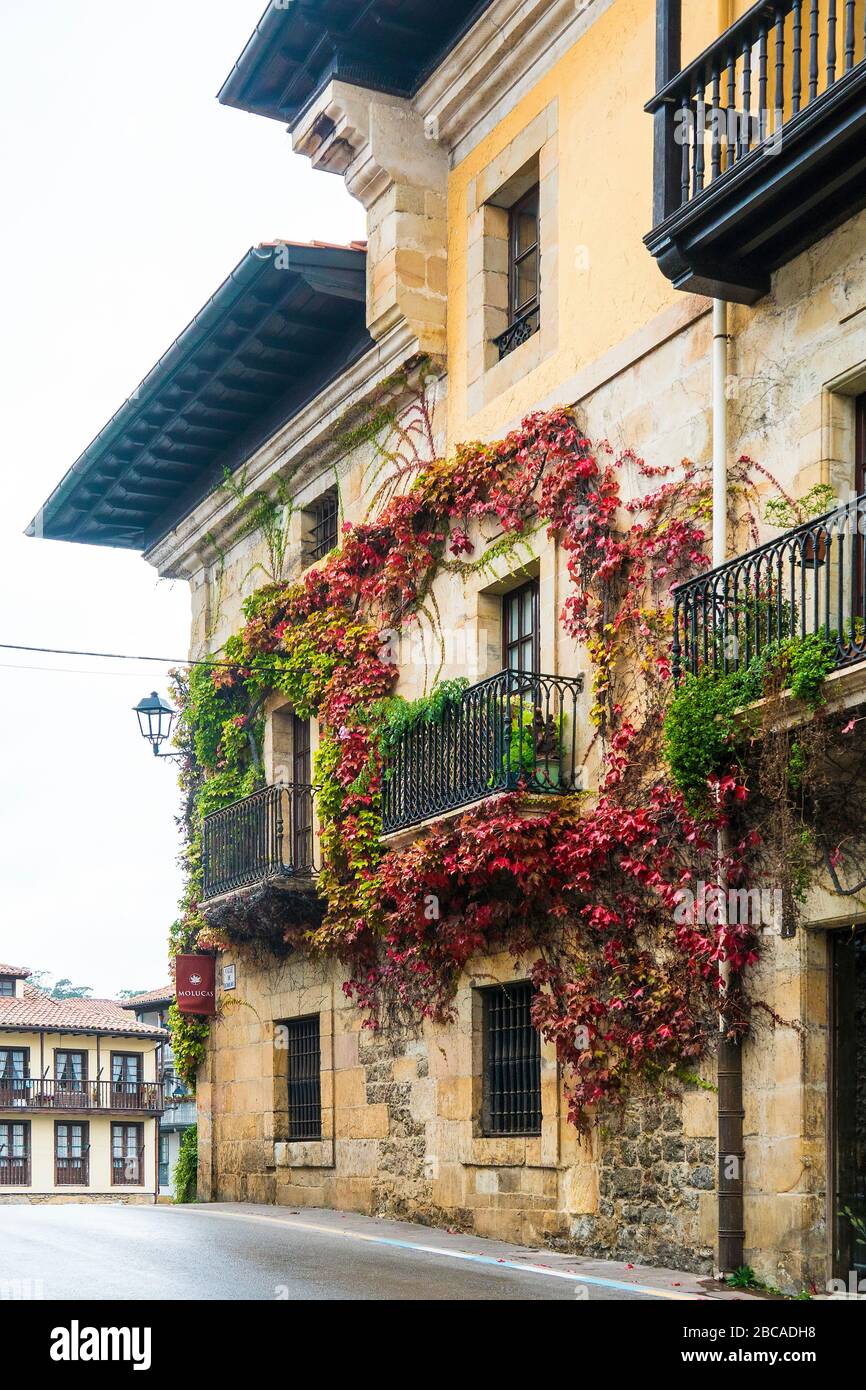 España, costa norte, Cantabria, Comillas, Calle de Antonio López, casa,  cubierta de vino Fotografía de stock - Alamy