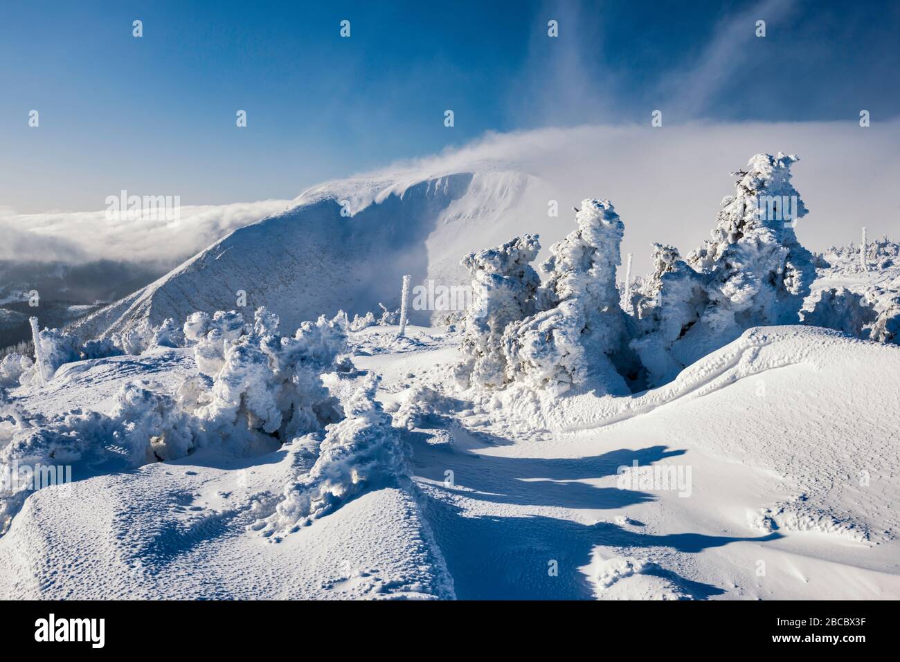 Árboles, hielo y nieve encerados, nubes de foehn en la distancia, meseta subalpina en la línea de la madera, Parque Nacional Karkonosze, Baja Silesia, Polonia Foto de stock