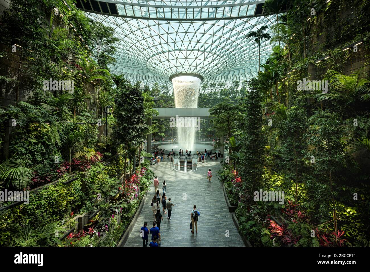 Singapur-30 Aug 2019: El aeropuerto Jewel Changi es un nuevo edificio  terminal bajo una cúpula de vidrio, con cascada interior y bosque tropical,  centros comerciales a Fotografía de stock - Alamy