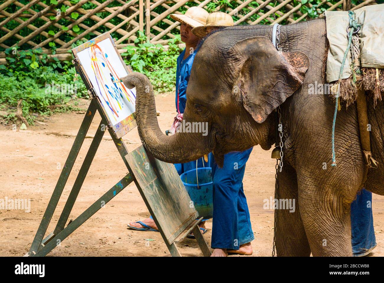 El Centro de Entrenamiento de elefantes Chiang Dao, fundado en 1969. El Centro tiene uno de los paisajes naturales más hermosos de Chiang Mai, Tailandia Foto de stock