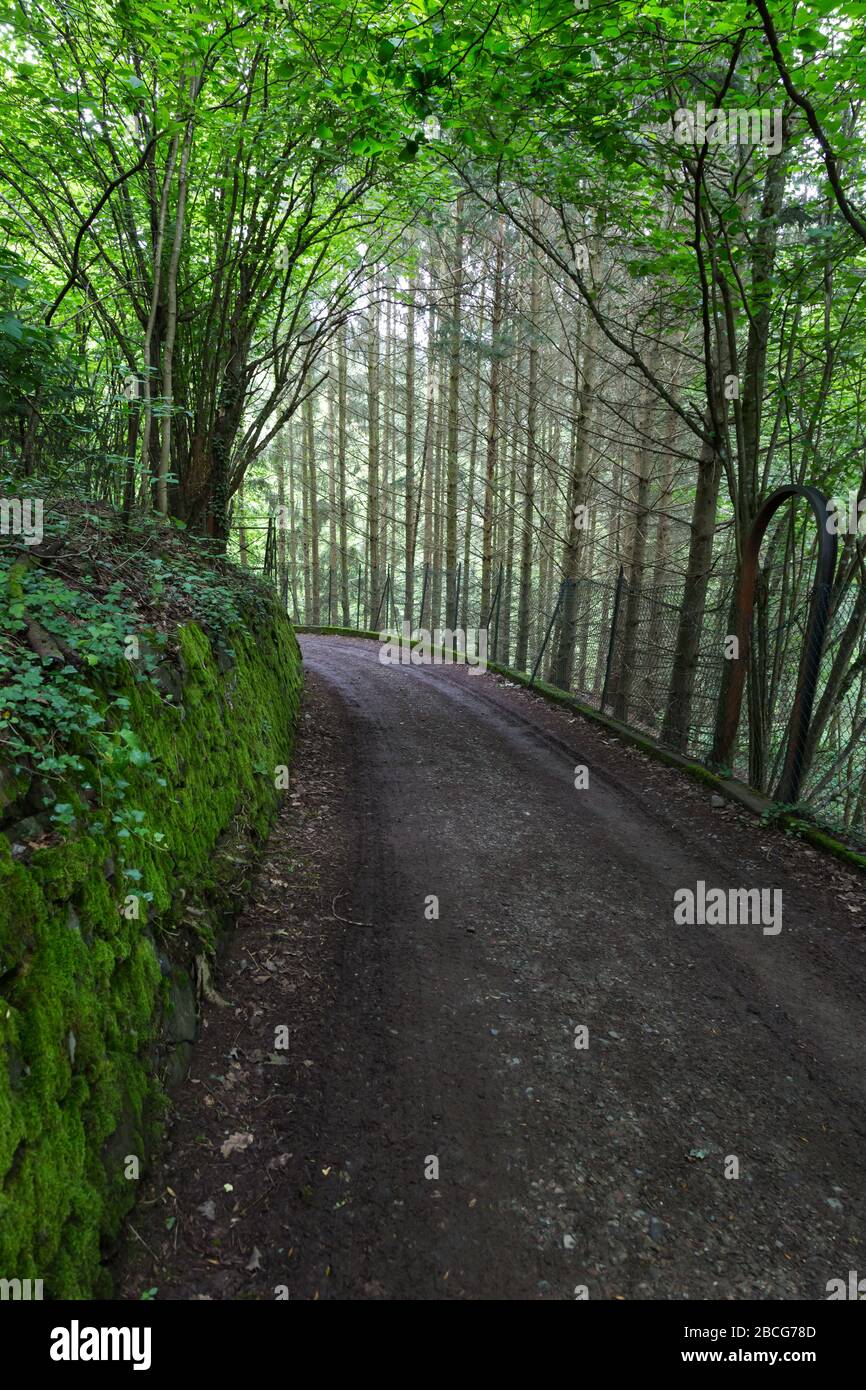 Una carretera montañosa aislada en Thann, Alsacia, Francia. Foto de stock
