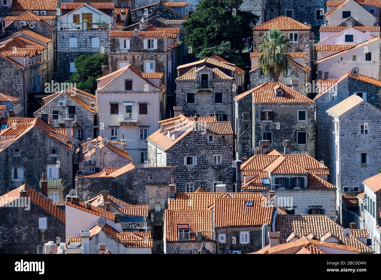 Una vista al casco antiguo de Dubrovnik. Muestra las casas y edificios densamente llenos y sus distintivos tejados de tejas rojas Foto de stock