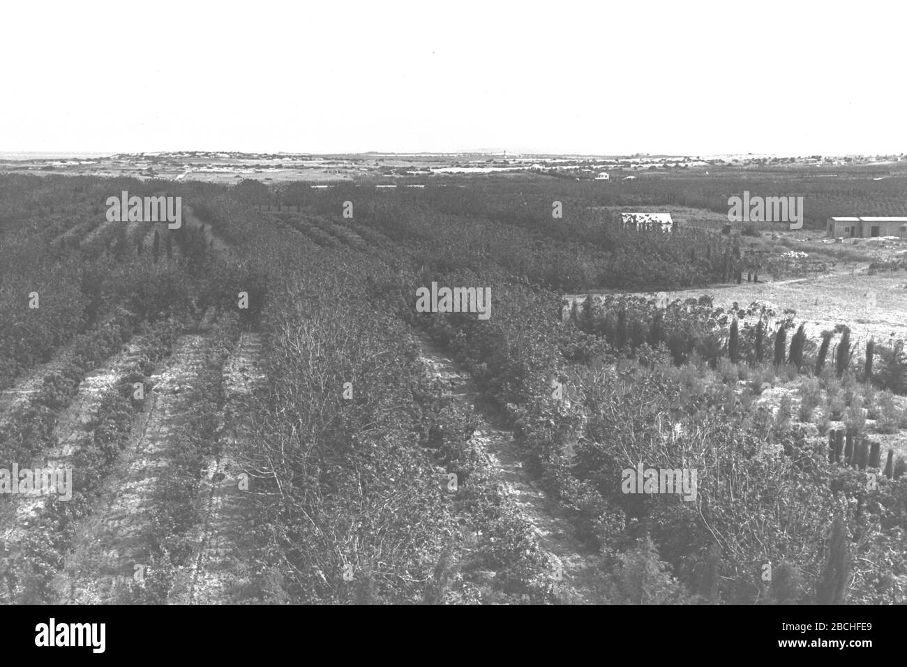 Natanya Fotos E Imagenes De Stock Alamy