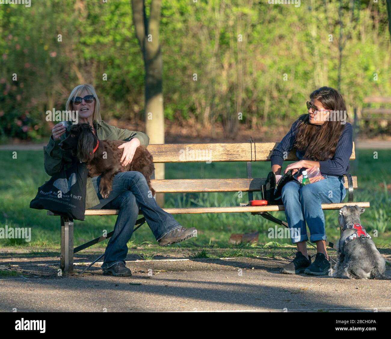 Londres, Reino Unido. Sábado 4 de abril de 2020. Los dueños de perros en Walpole Park en Ealing, Londres, después de llamar a los perros a mantenerse a la cabeza en los parques durante la crisis del coronavirus. Foto: Roger Garfield/Alamy Live News Foto de stock