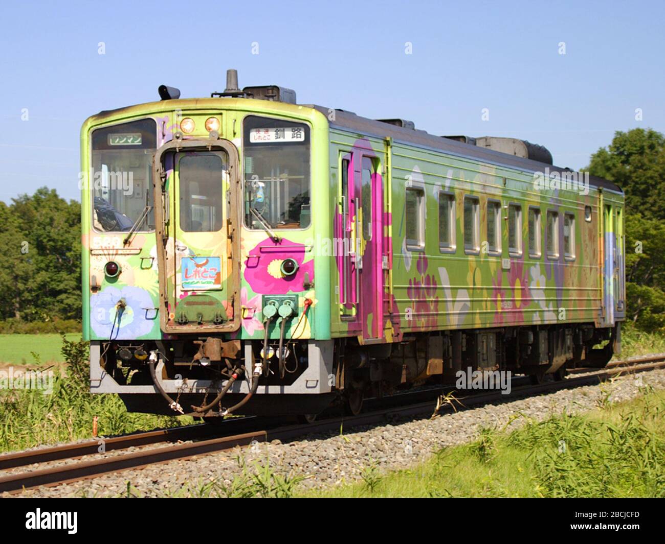 日本語 Jr北海道のキハ54形気動車 花咲線仕様の5番車 日本語 1 からの転載 撮影者運営のホームページezoほたる上のbbs 2 により承諾済み Ezoほたる氏 Fotografia De Stock Alamy