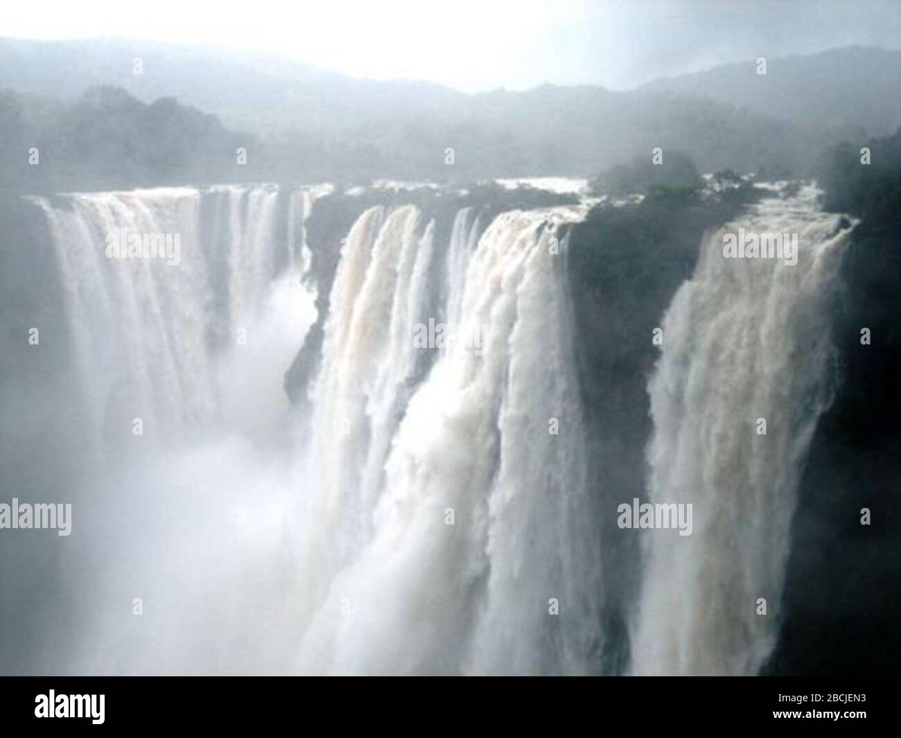 La cascada de inmersión más alta de la India, Jog Falls, creada por el río  Sharavathi. También conocido como las cataratas Gerusoppe, las cataratas  Gersoppa y Jogada Gundi. Inglés: Autor Kiran Sagara