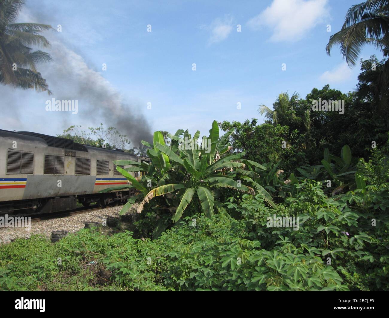 'Inglés: Humo de diesel y árboles. A 1 kilómetro al norte de Gemas en la línea este de Malasia, el ferrocarril de la selva, Gemas.; 23 de mayo de 2012; trabajo propio; Travelpleb; ' Foto de stock