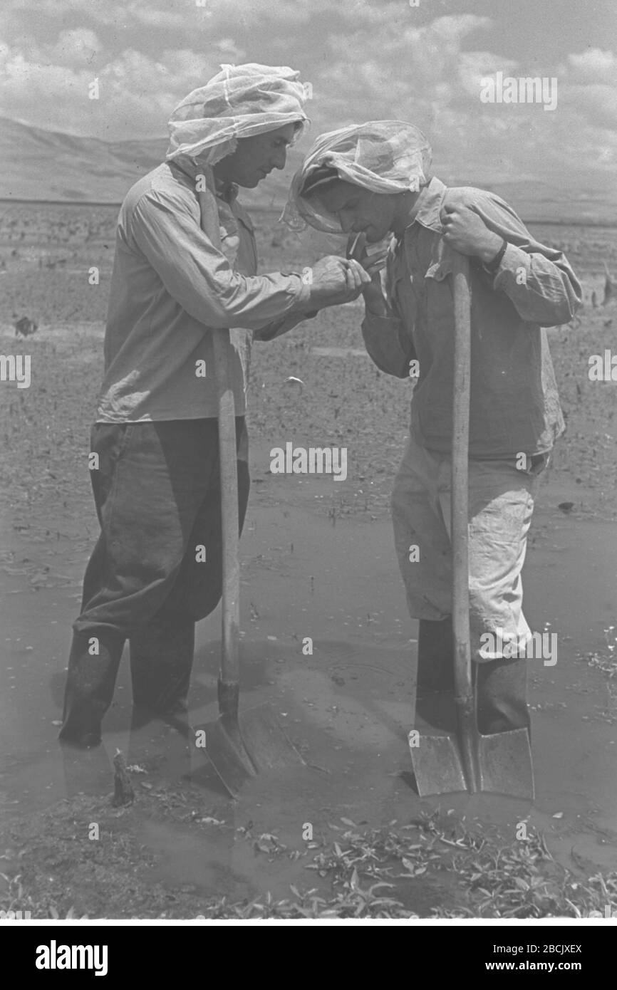 Hula Hula Imagenes De Stock En Blanco Y Negro Pagina 3 Alamy