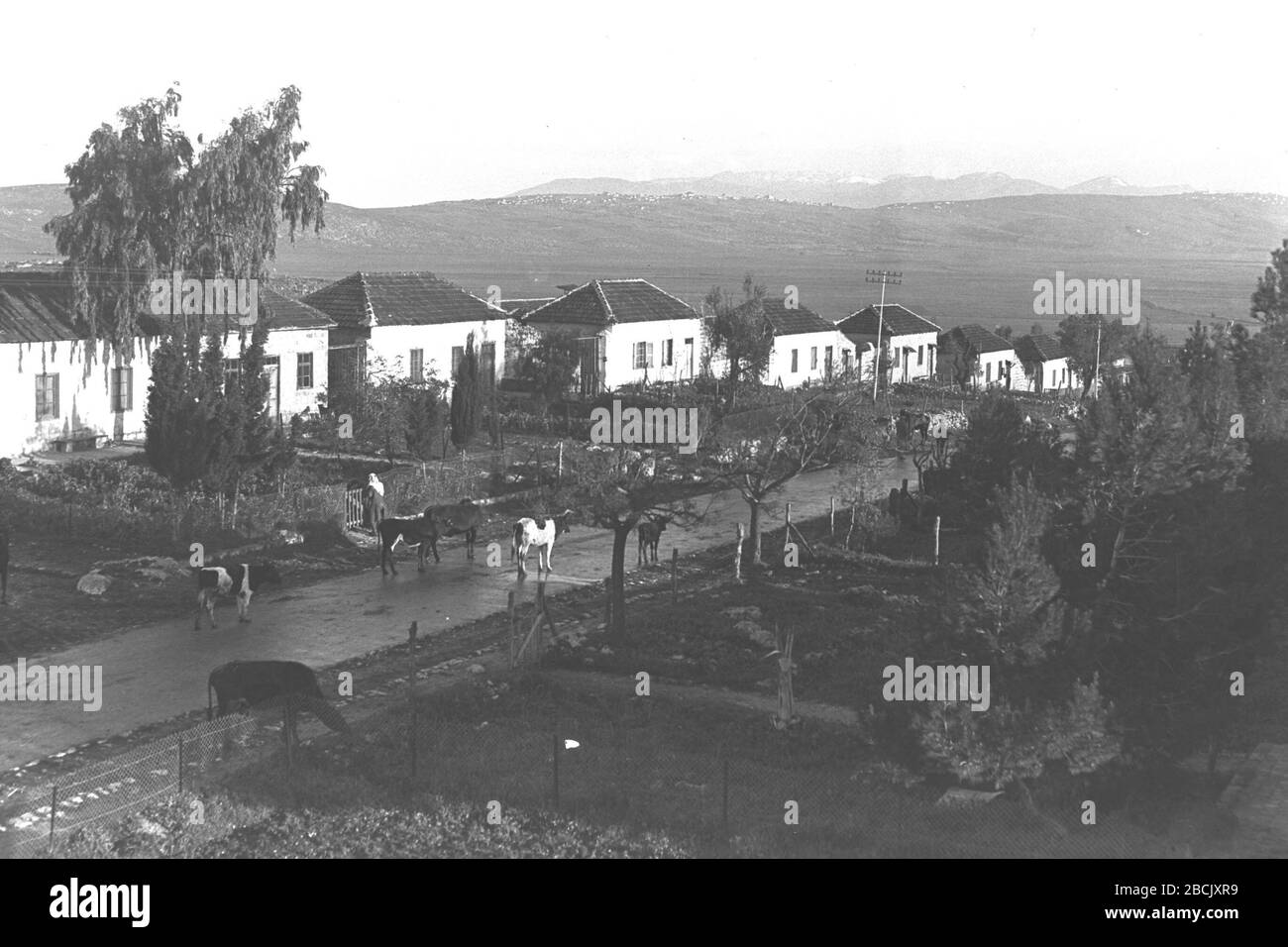 Casas De Vacas Imagenes De Stock En Blanco Y Negro Alamy Casas De Vacas Imagenes De Stock En Blanco Y Negro Alamy