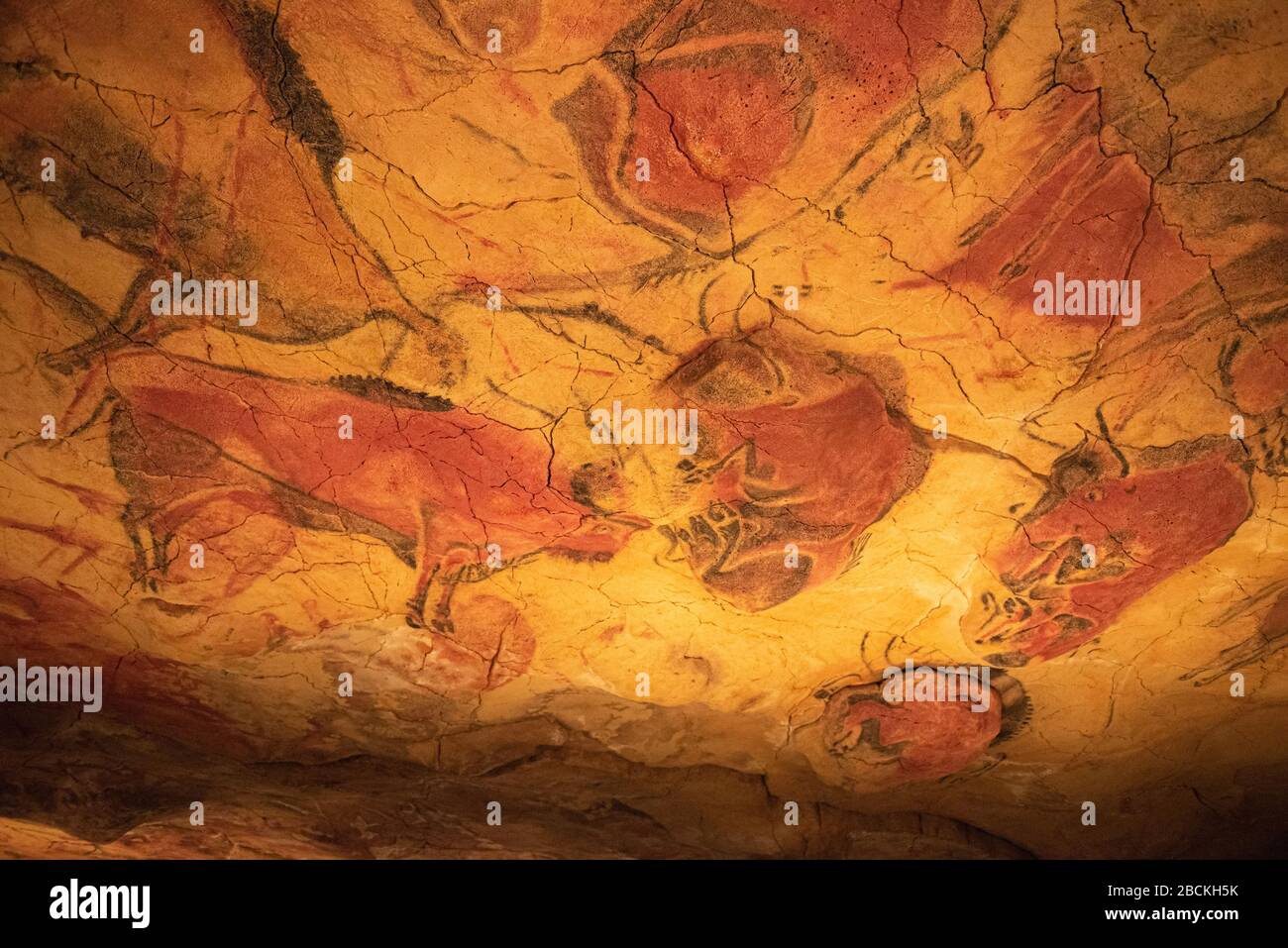 Cuevas de Altamira, Cantabria. El arte rupestre español es la  representación más alta de la pintura rupestre en España Fotografía de  stock - Alamy