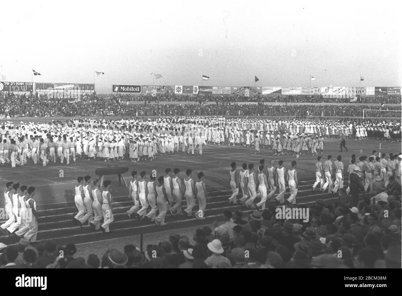 Oua Imagenes De Stock En Blanco Y Negro Alamy