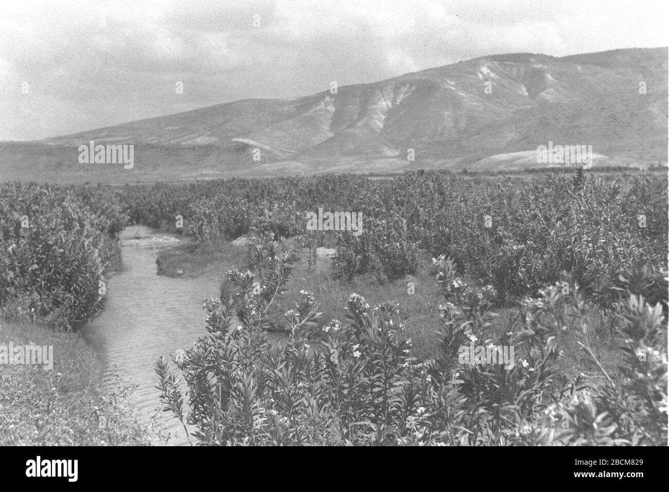 1939 12 06 Fotos E Imagenes De Stock Alamy