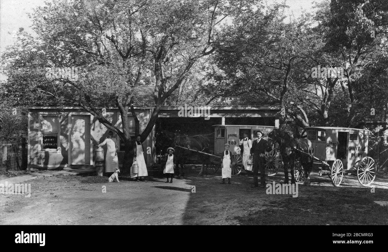 'OAKVILLE DAIRY STAFF (imagen y texto de Trafalgar Township Historical