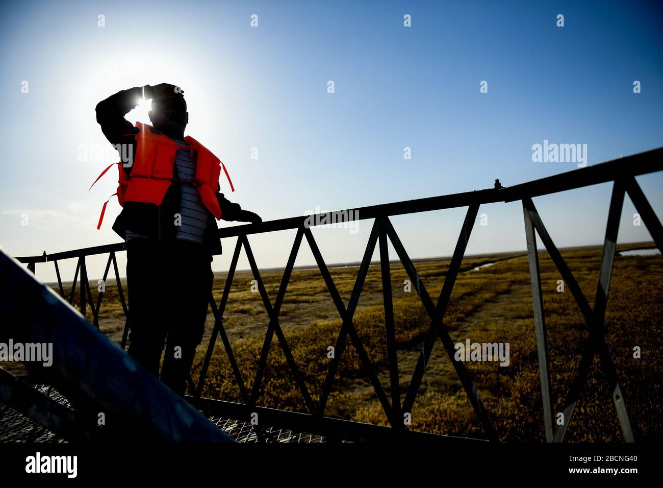 Hohhot, Región Autónoma de Mongolia Interior de China. 4 de abril de 2020. Yue Jianqiang, miembro del personal de la Reserva Natural del Lago Ulan Suhai, observa aves migratorias en una torre en el humedal del Lago Ulan Suhai en Bayannur, Región Autónoma de Mongolia Interior, al norte de China, el 4 de abril de 2020. El humedal del lago Ulan Suhai es un importante lugar de cría para aves migrantes como cisnes mudos. A medida que su período de desove comenzó a finales de marzo, el personal de la reserva natural ha fortalecido los esfuerzos de patrulla y protección para vigilar las condiciones de vida y reproducción de las aves. Crédito: Lian Zhen/Xinhua/Alamy Live News Foto de stock