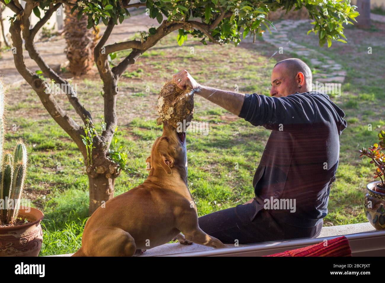 Hombre jugando con su perro en el jardín de la casa Foto de stock
