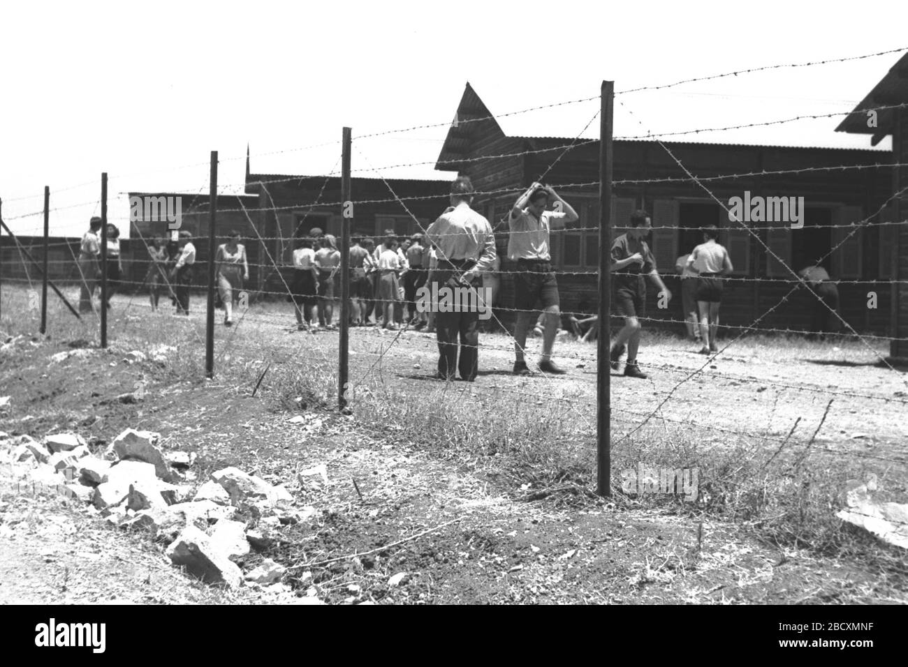 D7 Imagenes De Stock En Blanco Y Negro Alamy D7 Imagenes De Stock En Blanco Y Negro Alamy