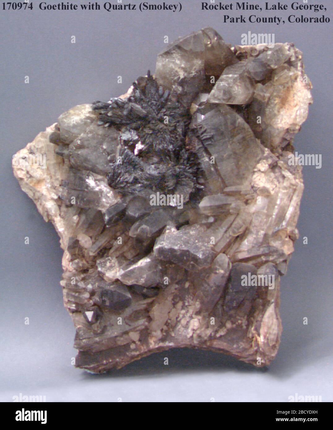 Goethita con cuarzo (NMNH 170974-00) de la Colección Nacional de Minerales. Goethita Foto de stock