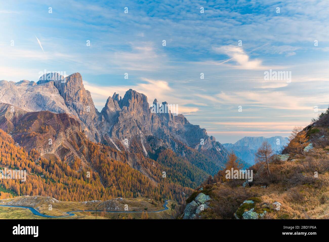 Bosques en otoño con pala di San Martino y cima Della Rosetta al fondo, Pale di San Martino, Rolle Pass, Trentino, Italia, Europa Foto de stock