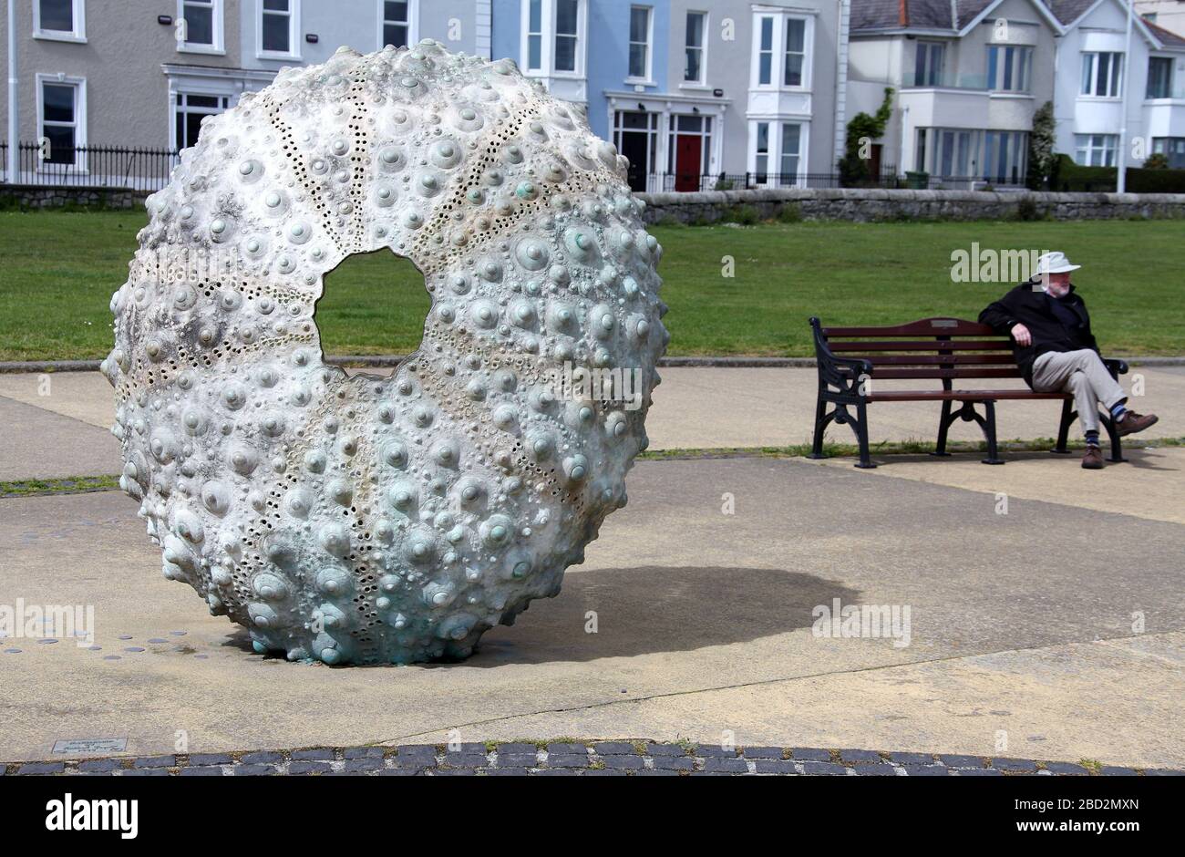 Escultura de erizos de mar llamada Patria por Rachel Joynt en la costa sur de Irlanda Foto de stock