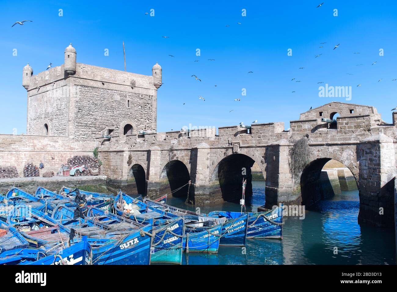 La ciudadela de Essaouira, la Scala del Puerto en la antigua ciudad de  Medina, con icónicos barcos azules en el puerto y un rebaño de gaviotas  volando por encima Fotografía de stock -