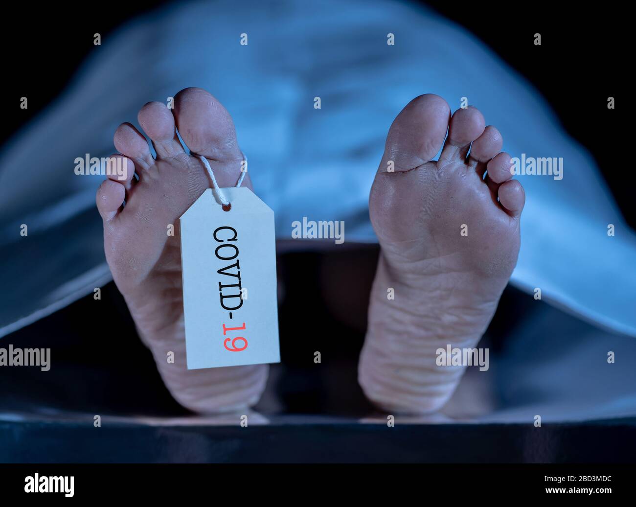 Crisis sanitaria mundial. Imagen de los pies con COVID-19 escrita en la etiqueta del dedo del pie de una víctima del cuerpo muerto de la enfermedad infecciosa del coronavirus. Heath alerta como virus dea Foto de stock