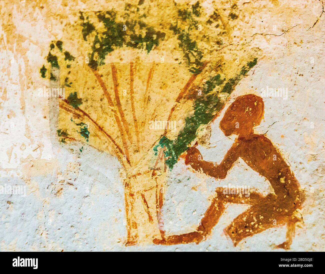 Patrimonio de la Humanidad de la UNESCO, Tebas en Egipto, Valle de los nobles (Dra Abu el Naga), tumba de Roy. Un niño cerca de un árbol o un fagot. Foto de stock