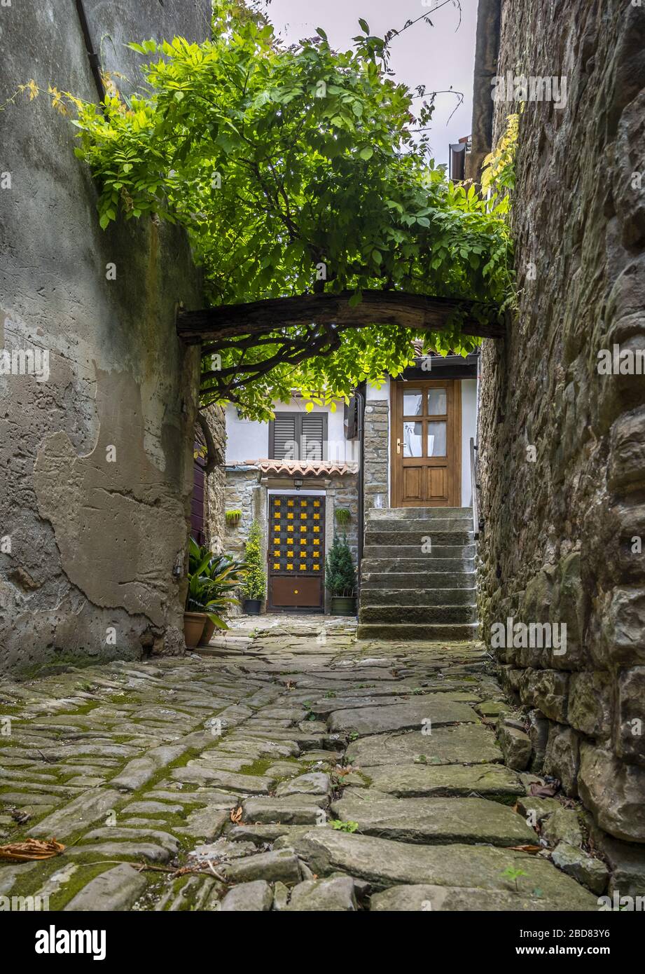 Pueblo de montaña Groznjan, Croacia, Istria Foto de stock