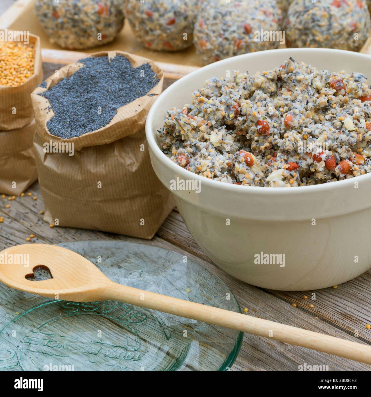 bolas de grasa de aves, paso uno: ingredientes: alimentos ricos en grasa, semillas de amapola, semillas de mijo Foto de stock