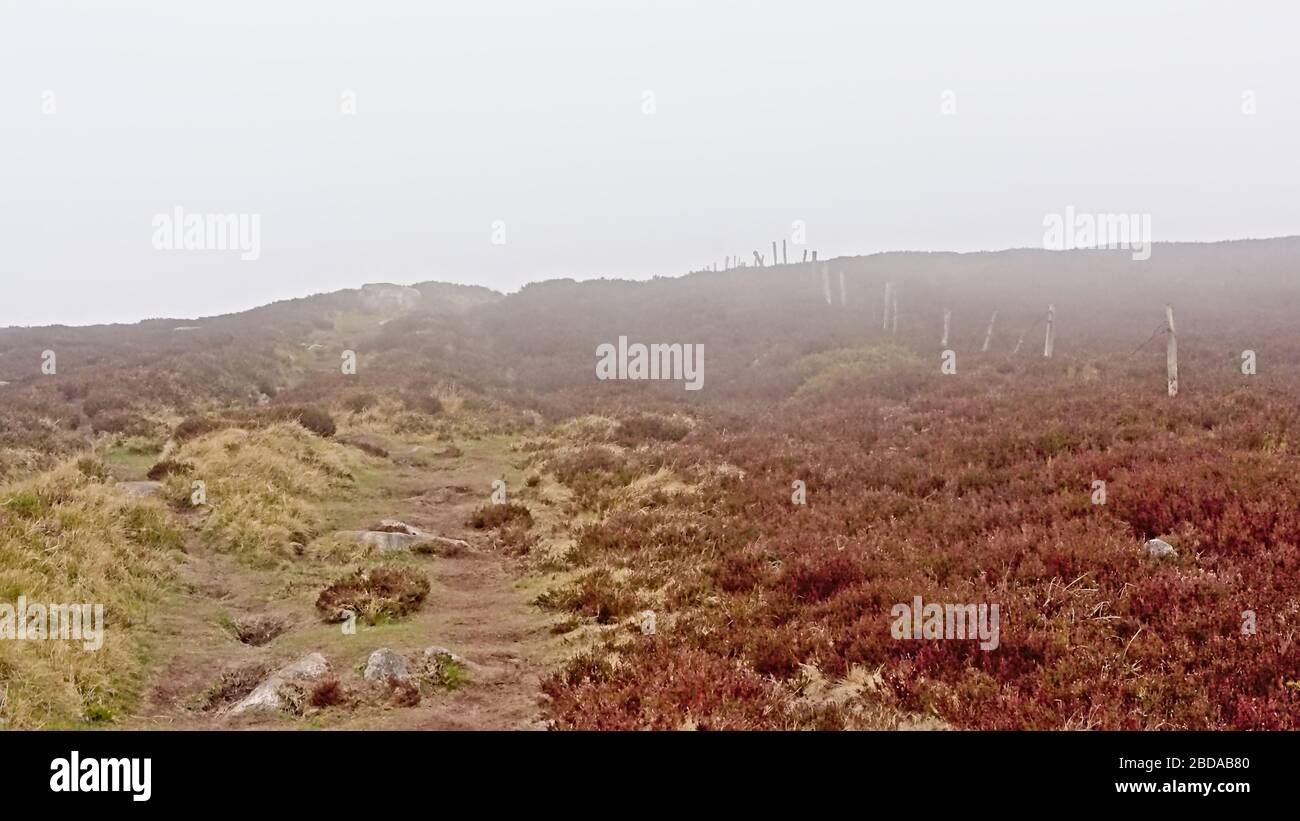 Ruta de senderismo a lo largo de una valla con postes de madera a través de la brezal en las montañas niebla Ticknock, Dublín, Irlanda Foto de stock