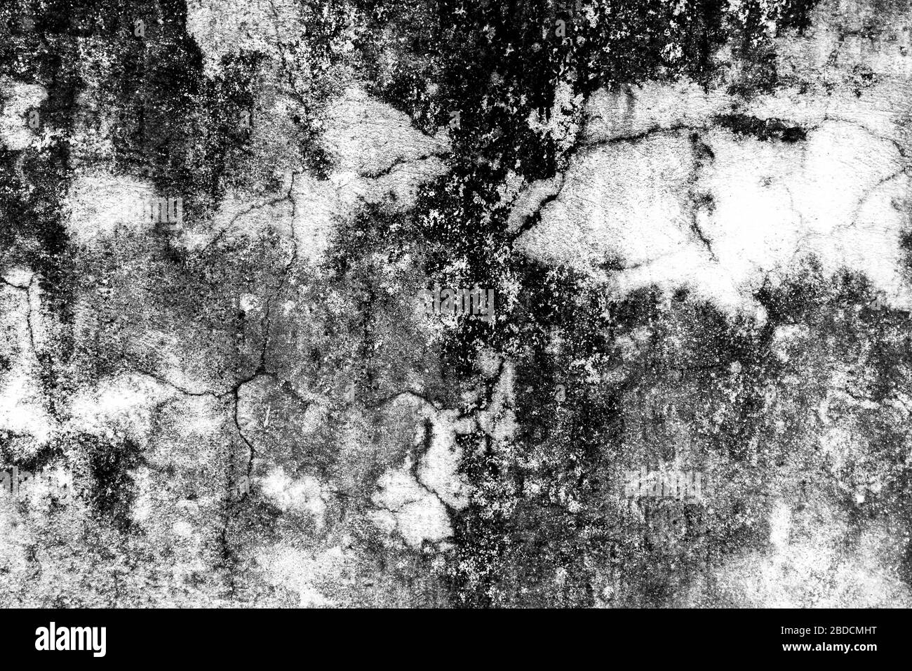 Musgo blanco y negro cubierto piedra hormigón fondo pared con grietas, alto contraste Foto de stock