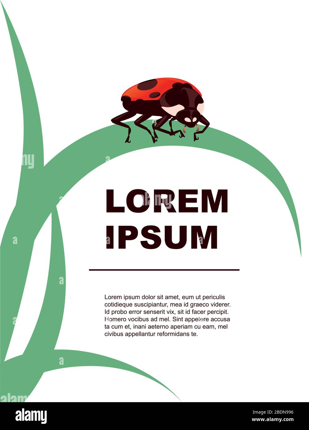 Tarjeta de felicitación concepto ladybug escarabajo caricatura insecto diseño plano vector ilustración sobre fondo blanco con hierba verde Ilustración del Vector