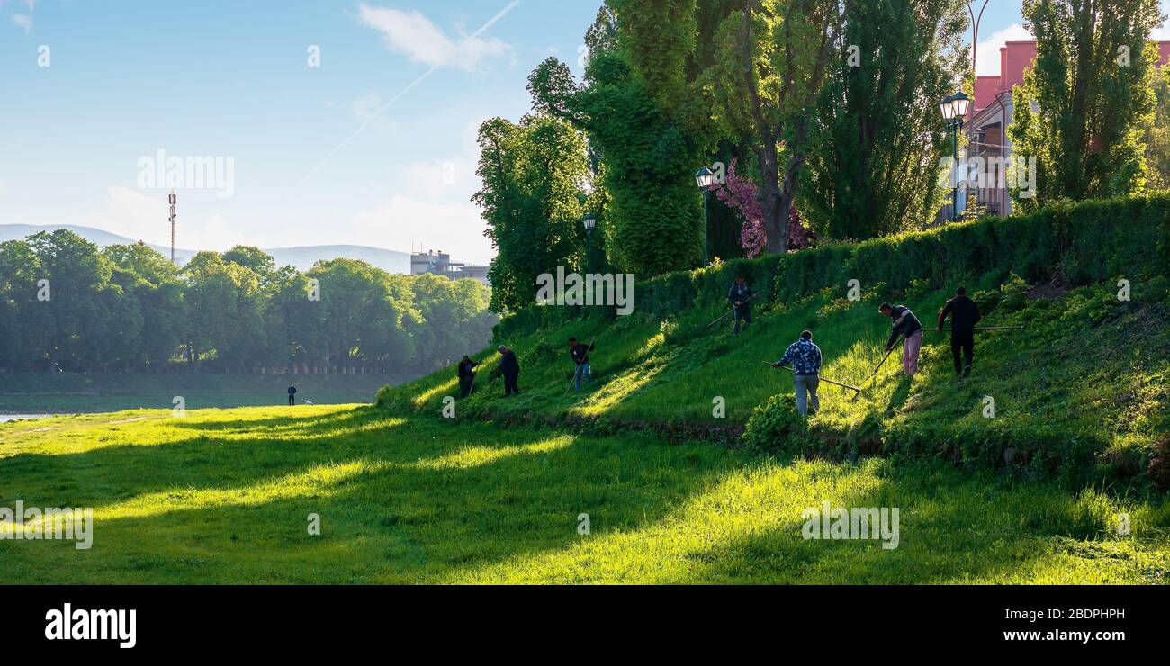 grupo de personas que tiran la hierba en una joroba. césped segando en una vieja escuela en una mañana soleada en primavera. ubicación kyiv terraplén en uzhgorod Foto de stock
