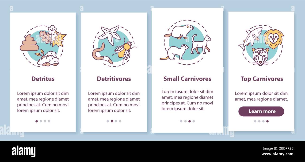 dividir lista biblioteca Detritus cadena alimenticia onboarding mobile app page screen con conceptos. Proceso biológico, ciclo de vida de la naturaleza tutorial 4 pasos de instrucciones gráficas Imagen Vector de stock - Alamy dividir lista biblioteca Detritus cadena alimenticia onboarding mobile app page screen con conceptos. Proceso biológico, ciclo de vida de la naturaleza tutorial 4 pasos de instrucciones gráficas Imagen Vector de stock - Alamy