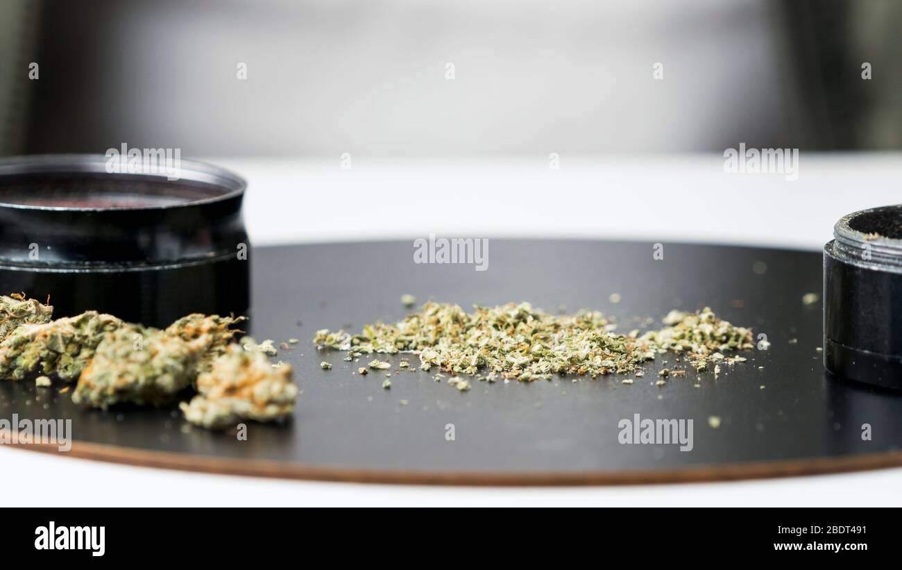 Primer plano de brotes de marihuana medicinal y molinillo. El cannabis es un concepto de medicina herbaria o alternativa Foto de stock
