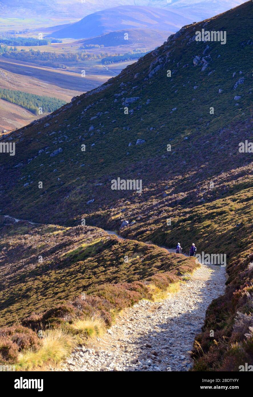 Senderistas de la colina que descienden de la cumbre del monte Keen en Glen Esk, angus, Escocia. Foto de stock