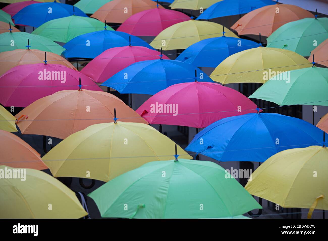 Muchas sombrillas multicolores brillantes vistas desde arriba Fotografía de  stock - Alamy