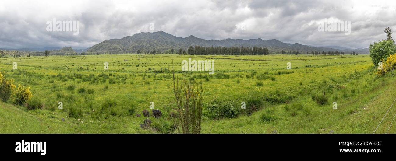 Paisaje con verdes y exuberantes praderas bajo cielo nublado, rodado con luz de primavera nublado cerca de Inangahua Junction, Costa Oeste, Isla Sur, Nueva Zelanda Foto de stock