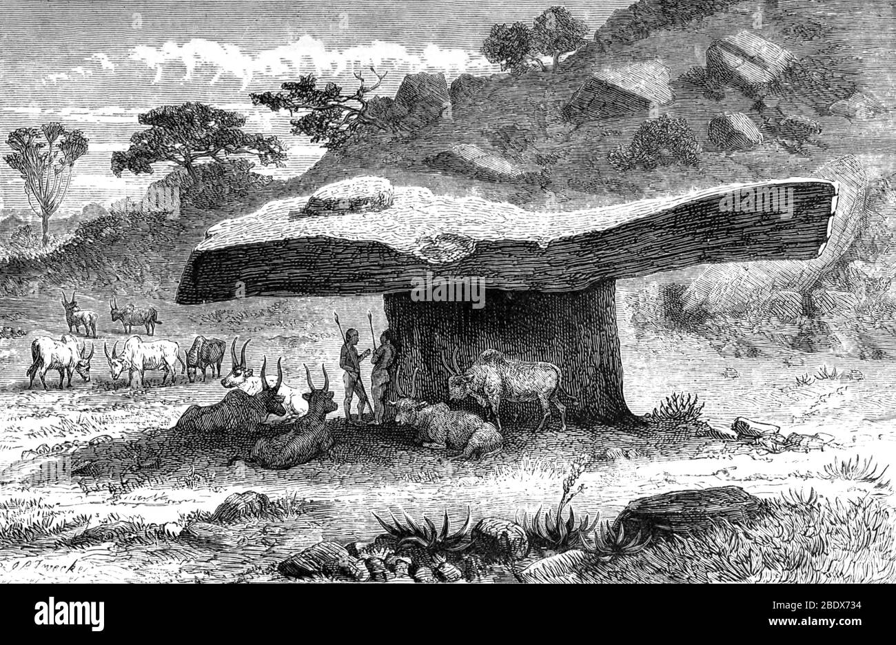 África Oriental, pastores nilóticos, siglo XIX Foto de stock