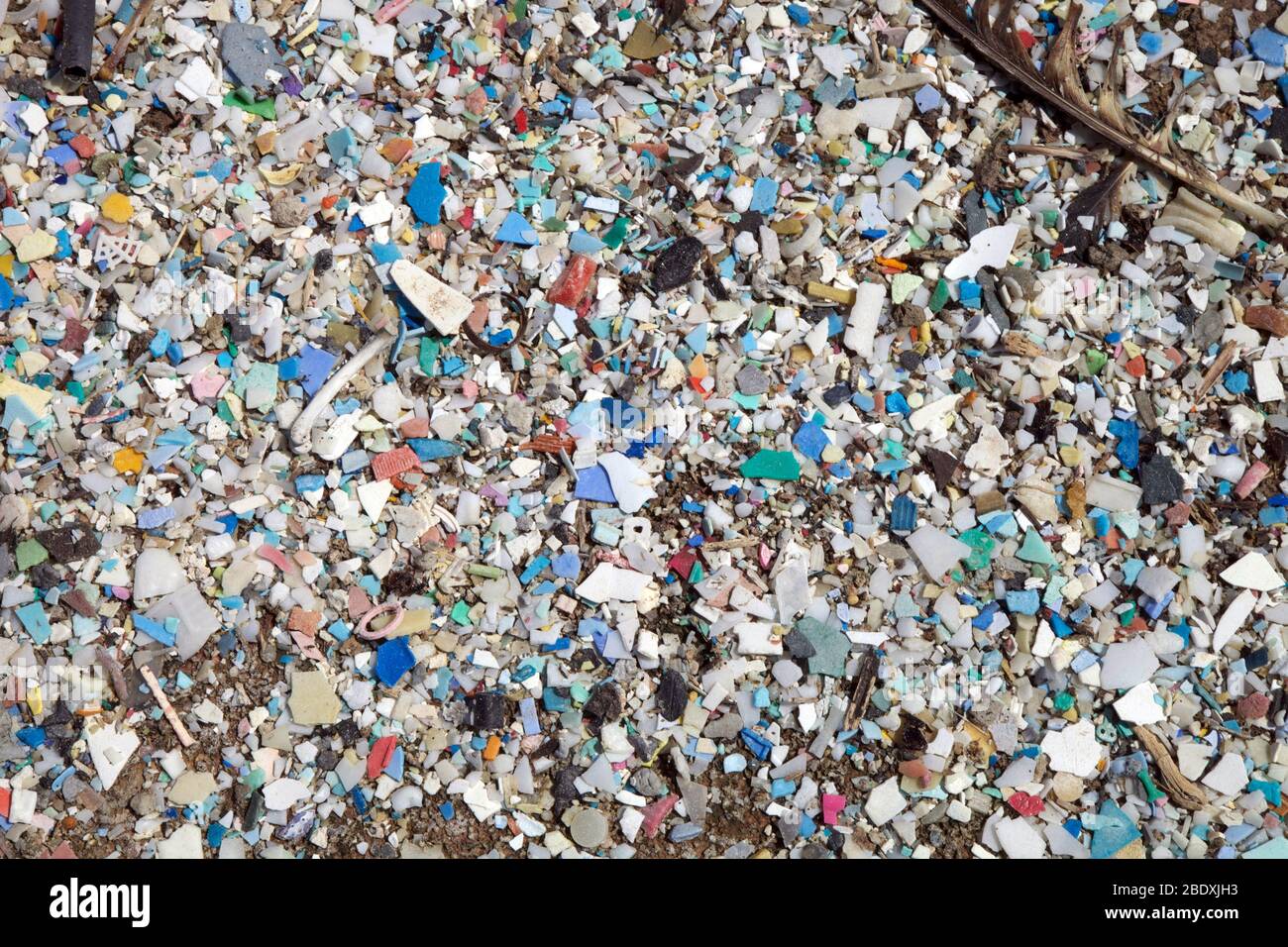 Desechos marinos, plásticos Foto de stock