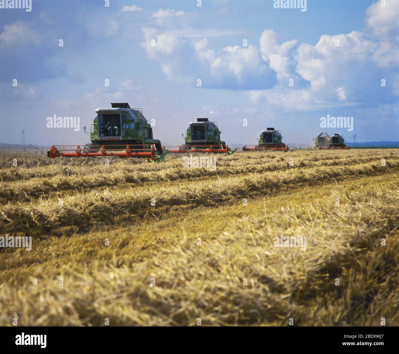Máquinas de trilla de trigo Foto de stock
