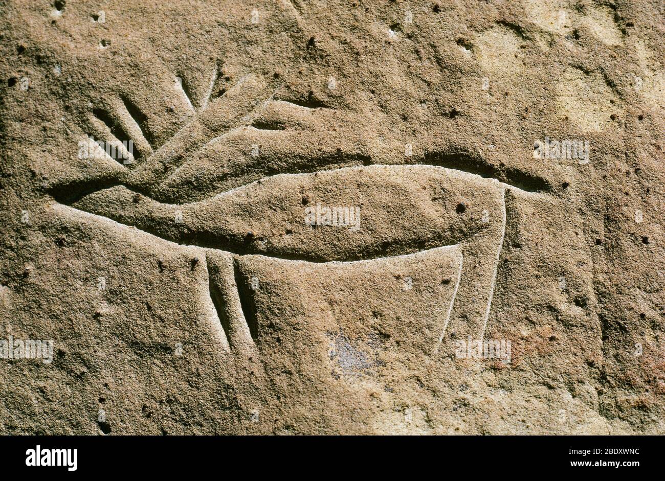Petroglifo nativo americano Foto de stock