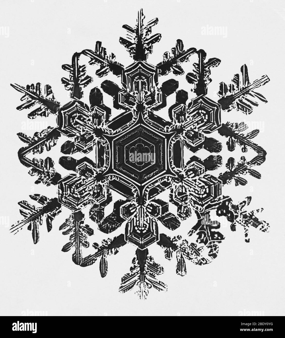 Copo de nieve Foto de stock