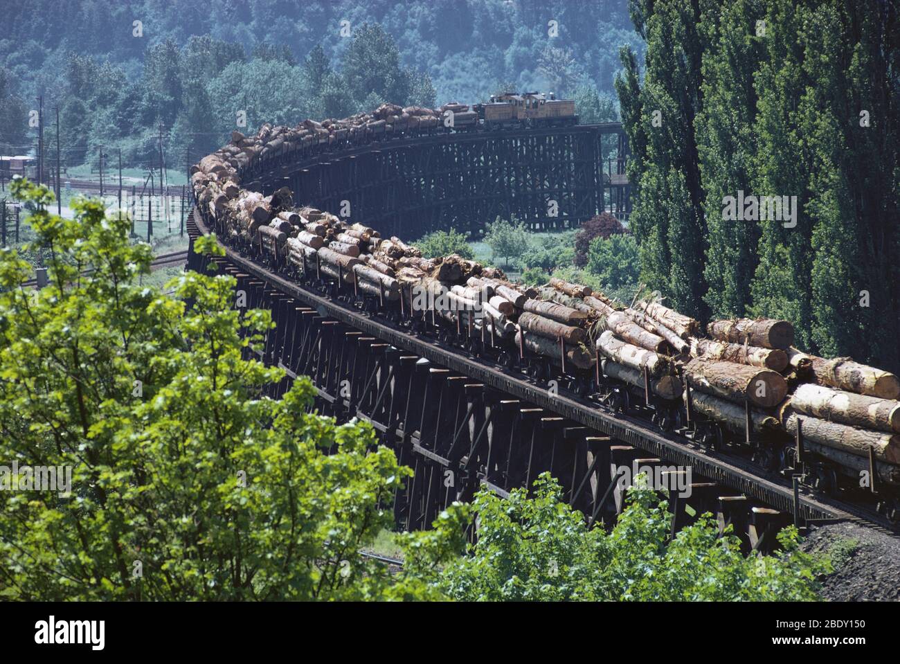 El transporte de troncos Foto de stock