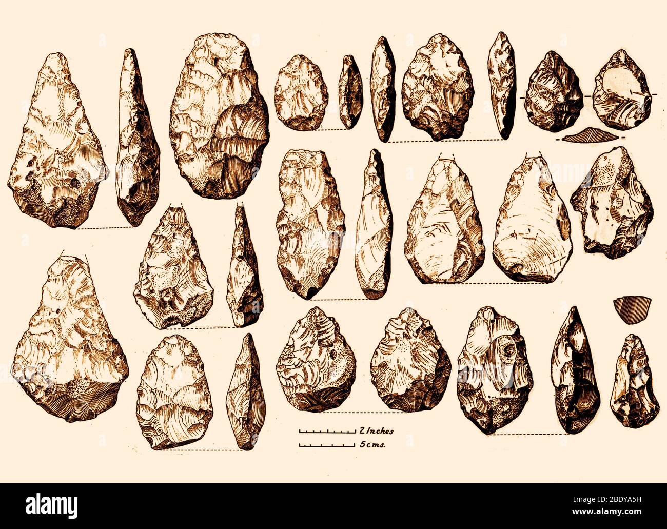 Ejes de mano Acheulean, Paleolítico inferior Foto de stock