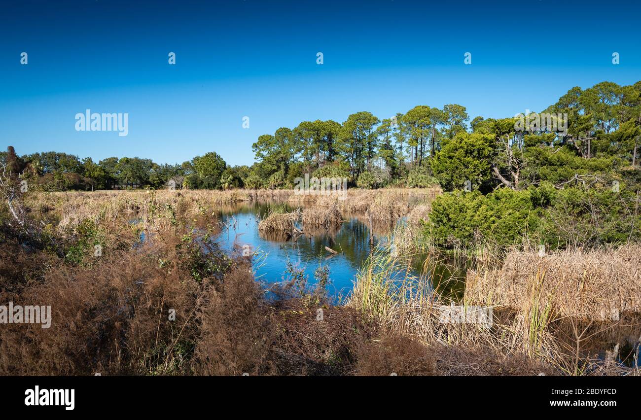 Hermoso paisaje invernal de Georgia Foto de stock