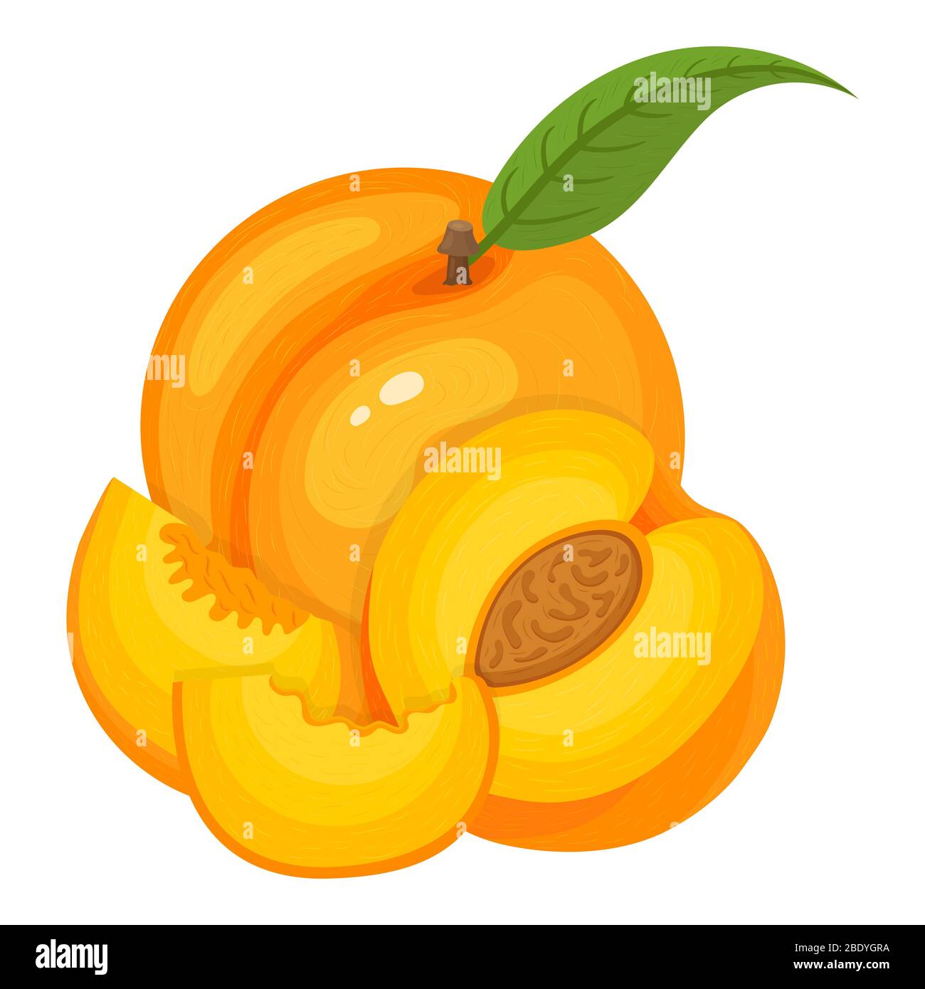 Dibujos animados detallados exótica entera, mitad y corte corte corte de melocotón aislado sobre fondo blanco. Frutas de verano para un estilo de vida saludable. Fruta orgánica. Dibujos animados styl Imagen Vector Dibujos animados detallados exótica entera, mitad y corte corte corte de melocotón aislado sobre fondo blanco. Frutas de verano para un estilo de vida saludable. Fruta orgánica. Dibujos animados styl Imagen Vector