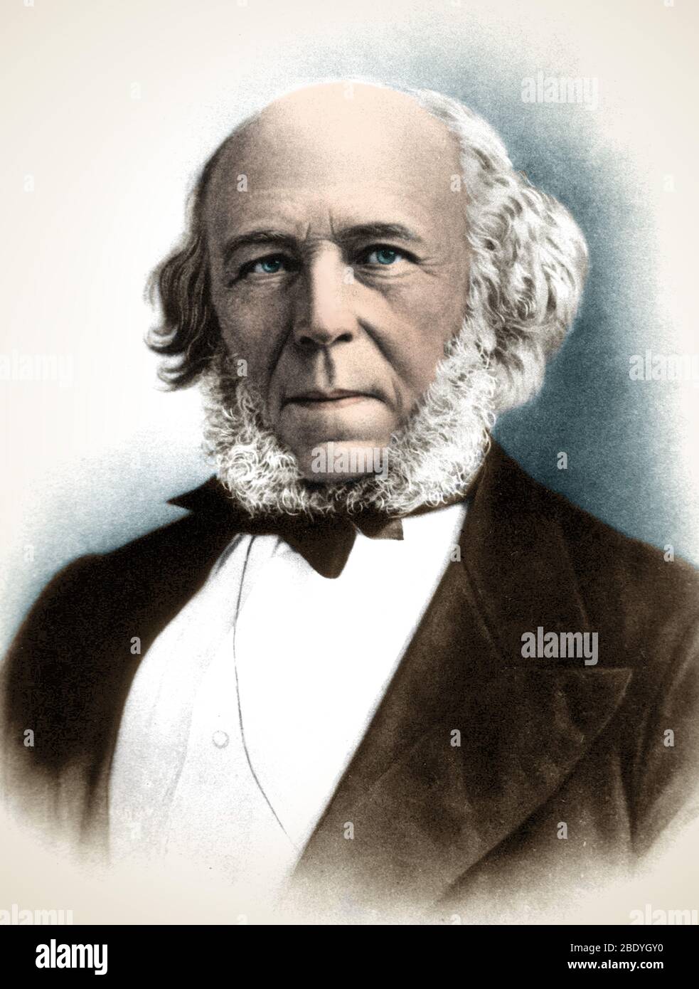 Herbert Spencer, Inglés polímata Foto de stock