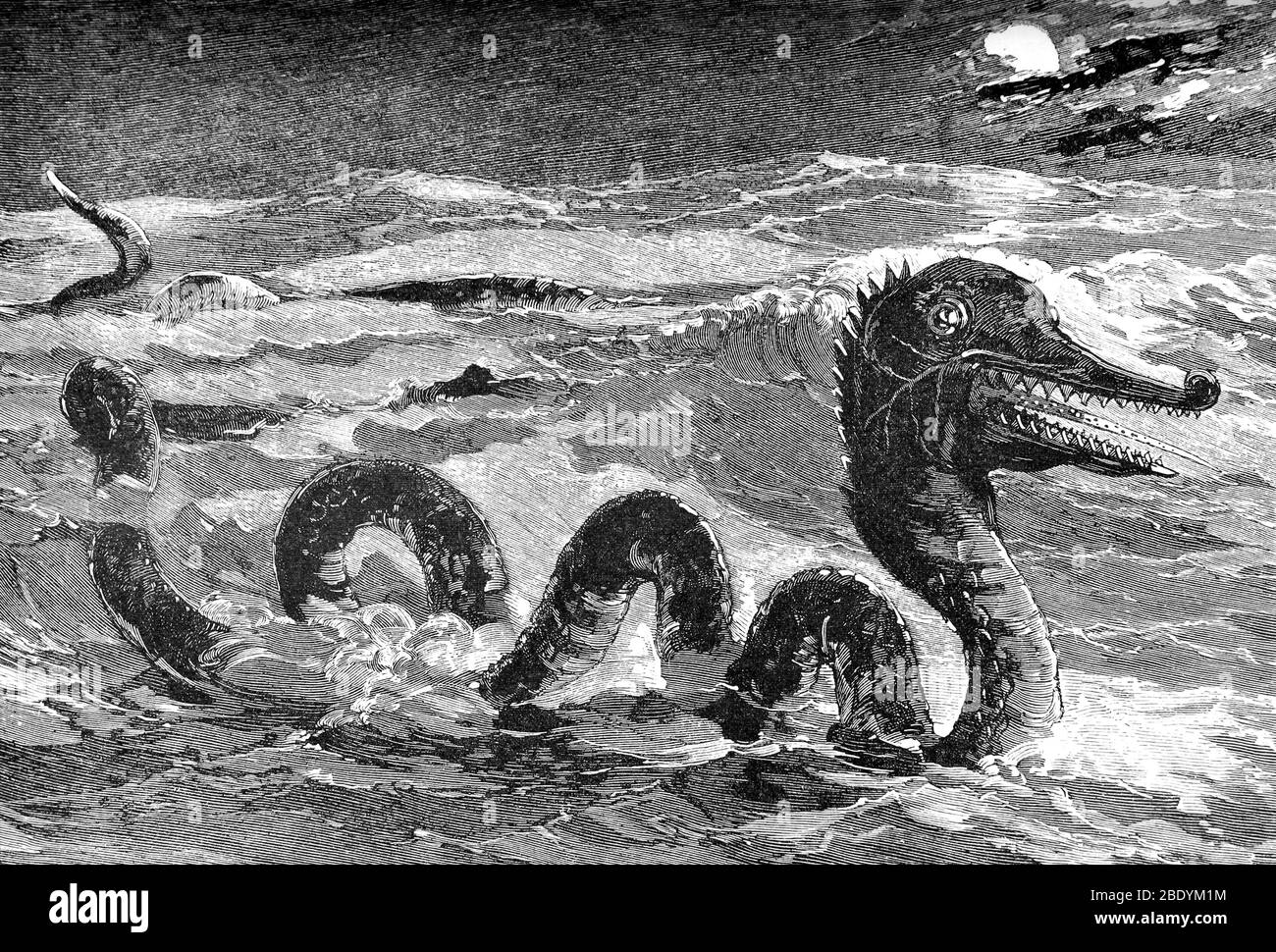 Serpiente de mar, monstruo legendario Foto de stock