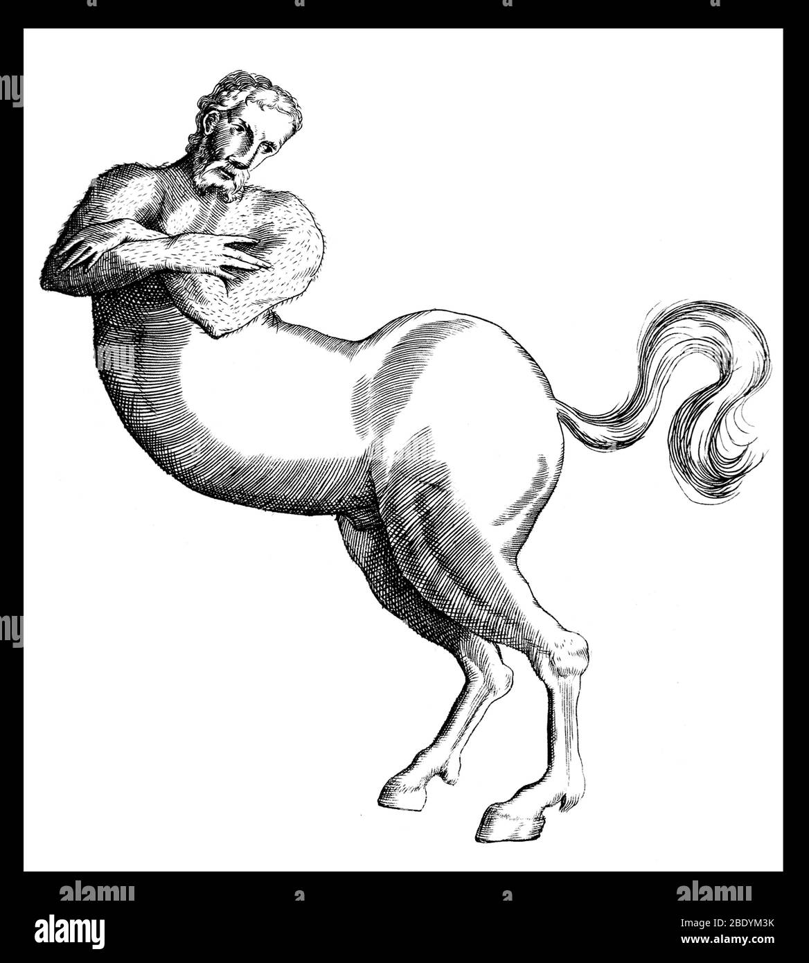Centaur, la creatura legendaria Foto de stock